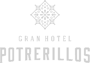 Hotel Potrerillos